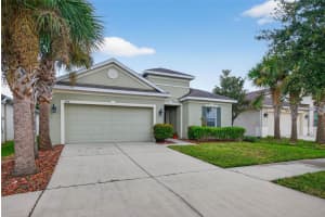 8208 BELLE GROVE COURT, RIVERVIEW, FL 33578 - MLS#MFRTB8436268