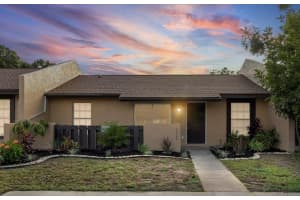 10005 88TH STREET, SEMINOLE, FL 33777 - MLS#MFRTB8436269