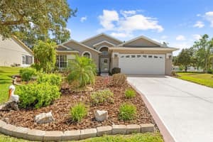 412 MISTWOOD COURT, SPRING HILL, FL 34609 - MLS#MFRTB8436281