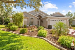 412 MISTWOOD COURT, SPRING HILL, FL 34609 - MLS#MFRTB8436281