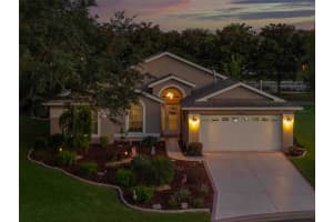 412 MISTWOOD COURT, SPRING HILL, FL 34609 - MLS#MFRTB8436281