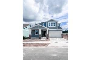 3686 ROCKY ISLAND ROAD, NEW PORT RICHEY, FL 34655 - MLS#MFRTB8436284