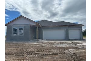 10049 HIDDEN HAMMOCK LOOP, PARRISH, FL 34219 - MLS#MFRTB8436303