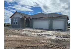 10049 HIDDEN HAMMOCK LOOP, PARRISH, FL 34219 - MLS#MFRTB8436303
