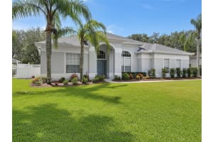 19113 BECKETT DRIVE, ODESSA, FL 33556 - MLS#MFRTB8436323