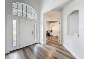 19113 BECKETT DRIVE, ODESSA, FL 33556 - MLS#MFRTB8436323