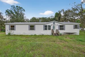 14602 MAYER AVENUE, HUDSON, FL 34669 - MLS#MFRTB8436375