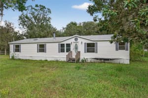 14602 MAYER AVENUE, HUDSON, FL 34669 - MLS#MFRTB8436375