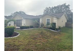 702 BOSTON STREET, TARPON SPRINGS, FL 34689 - MLS#MFRTB8436377