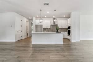 11309 HARDWOOD HAMMOCK LANE, RIVERVIEW, FL 33569 - MLS#MFRTB8436386