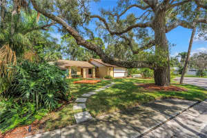 905 SERPENTINE DRIVE, ST PETERSBURG, FL 33705 - MLS#MFRTB8436389