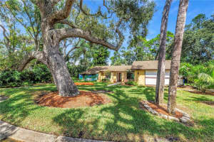 905 SERPENTINE DRIVE, ST PETERSBURG, FL 33705 - MLS#MFRTB8436389