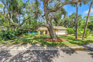 905 SERPENTINE DRIVE, ST PETERSBURG, FL 33705 - MLS#MFRTB8436389