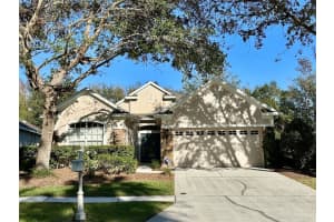 10234 Evergreen Hill Dr, TAMPA