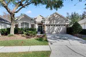 10234 EVERGREEN HILL DRIVE, TAMPA, FL 33647 - MLS#MFRTB8436402