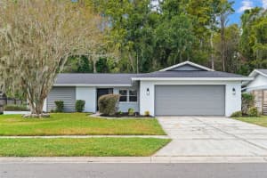 16118 Oakmanor Dr, TAMPA 16118 Oakmanor Dr, TAMPA