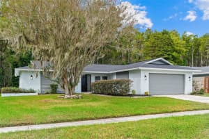 16118 OAKMANOR DRIVE, TAMPA, FL 33624 - MLS#MFRTB8436414