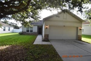 1412 MAIN STREET, VALRICO, FL 33594 - MLS#MFRTB8436426