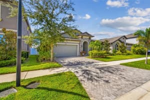 12826 SATIN LILY DRIVE, RIVERVIEW, FL 33579 - MLS#MFRTB8436441