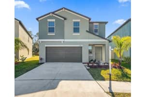 5157 White Chicory Dr, APOLLO BEACH