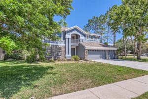 7436 NIGHT HERON DRIVE, LAND O LAKES, FL 34637 - MLS#MFRTB8436474