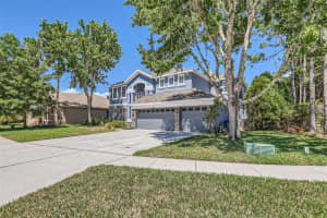 7436 NIGHT HERON DRIVE, LAND O LAKES, FL 34637 - MLS#MFRTB8436474