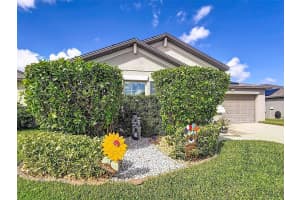 13360 WILLOW BLUESTAR LOOP, RIVERVIEW, FL 33579 - MLS#MFRTB8436480