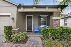 19356 HAWK VALLEY DRIVE, TAMPA, FL 33647 - MLS#MFRTB8436498
