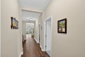 19356 HAWK VALLEY DRIVE, TAMPA, FL 33647 - MLS#MFRTB8436498