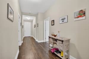 19356 HAWK VALLEY DRIVE, TAMPA, FL 33647 - MLS#MFRTB8436498
