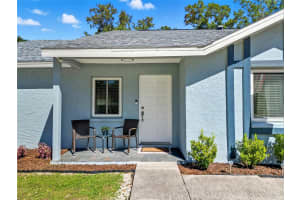 12421 PEPPERFIELD DRIVE, TAMPA, FL 33624 - MLS#MFRTB8436511