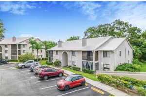 2045 HUNTERS GLEN DRIVE, DUNEDIN, FL 34698 - MLS#MFRTB8436521