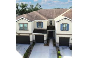 6642 ROCKY PARK STREET, TAMPA, FL 33625 - MLS#MFRTB8436523