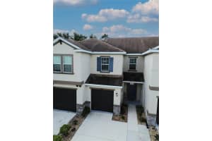 6642 ROCKY PARK STREET, TAMPA, FL 33625 - MLS#MFRTB8436523