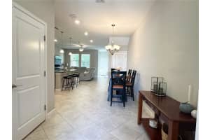 6642 ROCKY PARK STREET, TAMPA, FL 33625 - MLS#MFRTB8436523