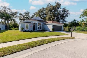 1001 ENGLISH BLUFFS COURT, BRANDON, FL 33511 - MLS#MFRTB8436537