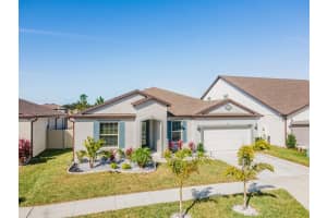 10907 Green Harvest Dr, RIVERVIEW