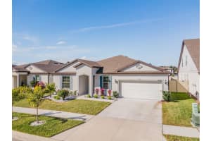 10907 GREEN HARVEST DRIVE, RIVERVIEW, FL 33578 - MLS#MFRTB8436539