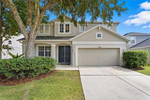 9208 LOST MILL, LAND O LAKES, FL 34638 - MLS#MFRTB8436546