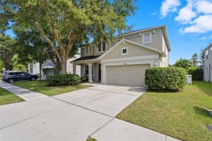 9208 LOST MILL, LAND O LAKES, FL 34638 - MLS#MFRTB8436546
