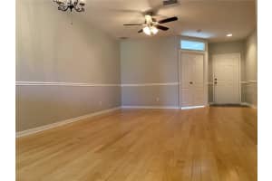 16410 SWAN VIEW CIRCLE, ODESSA, FL 33556 - MLS#MFRTB8436562