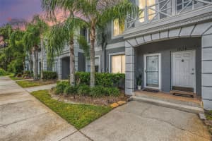 18114 PARADISE POINT DRIVE, TAMPA, FL 33647 - MLS#MFRTB8436563