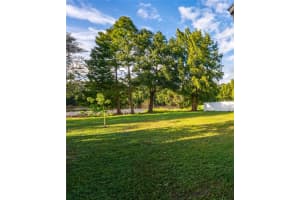 3101 TARABROOK DRIVE, TAMPA, FL 33618 - MLS#MFRTB8436574