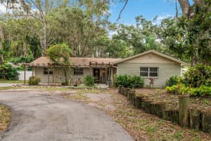 21817 DUPREE DRIVE, LAND O LAKES, FL 34639 - MLS#MFRTB8436601