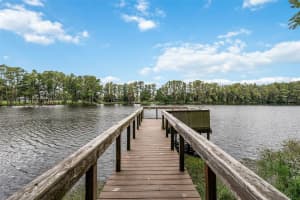 21817 DUPREE DRIVE, LAND O LAKES, FL 34639 - MLS#MFRTB8436601