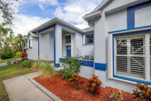 1187 BLACKRUSH DRIVE, TARPON SPRINGS, FL 34689 - MLS#MFRTB8436618