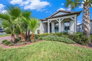 19865 SEA GLASS CIRCLE, LAND O LAKES, FL 34638 - MLS#MFRTB8436640