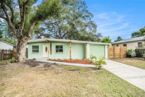 9511 N Willow Ave, TAMPA