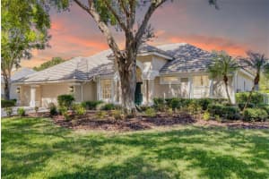 9116 Woodridge Run Dr, TAMPA