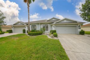 1117 MCDANIEL STREET, SUN CITY CENTER, FL 33573 - MLS#MFRTB8436716